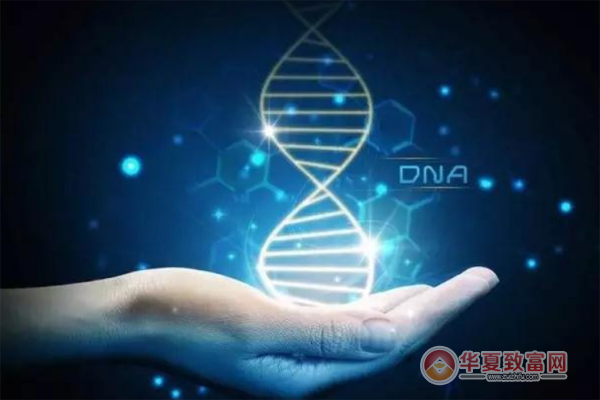 华大基因检测加盟
